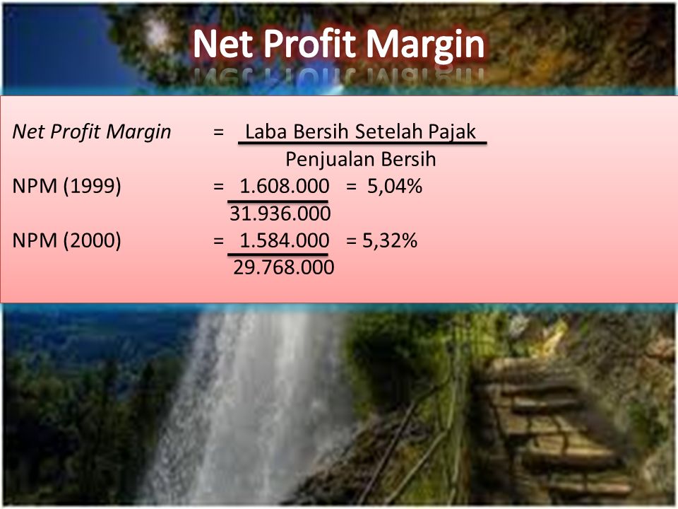 Net Profit Margin= Laba Bersih Setelah Pajak Penjualan Bersih NPM (1999) = = 5,04% NPM (2000) = = 5,32% Net Profit Margin= Laba Bersih Setelah Pajak Penjualan Bersih NPM (1999) = = 5,04% NPM (2000) = = 5,32%