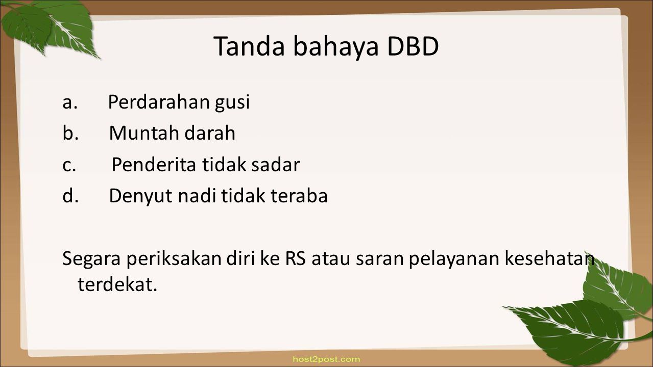 Tanda bahaya DBD a. Perdarahan gusi b. Muntah darah c.