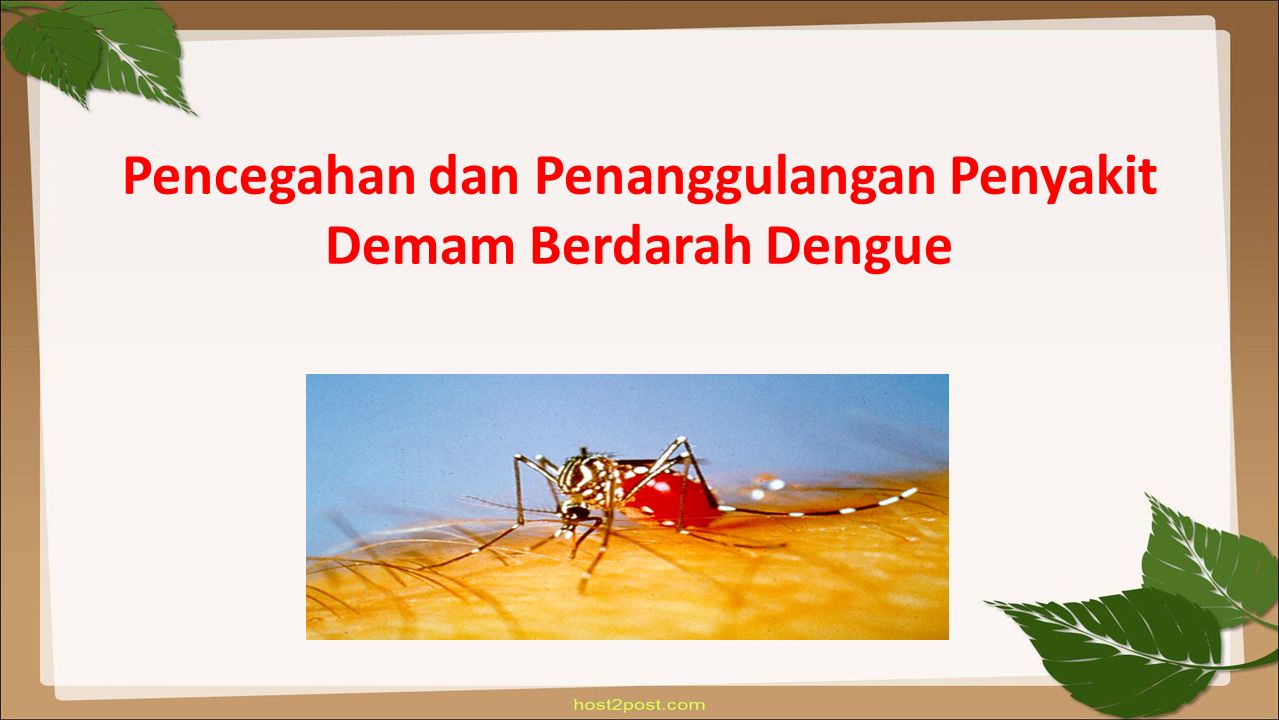 Pencegahan dan Penanggulangan Penyakit Demam Berdarah Dengue