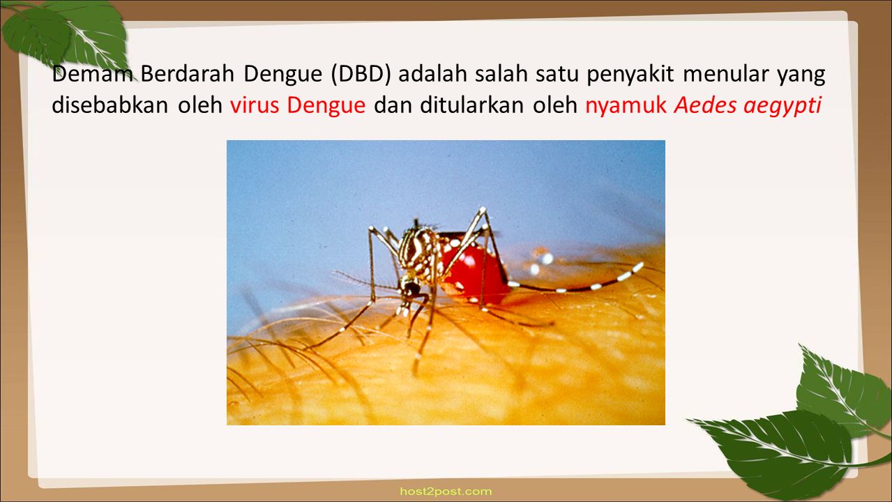 Demam Berdarah Dengue (DBD) adalah salah satu penyakit menular yang disebabkan oleh virus Dengue dan ditularkan oleh nyamuk Aedes aegypti