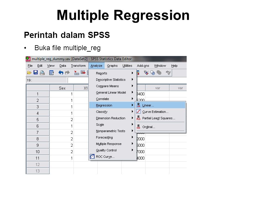 Multiple Regression Buka file multiple_reg Perintah dalam SPSS