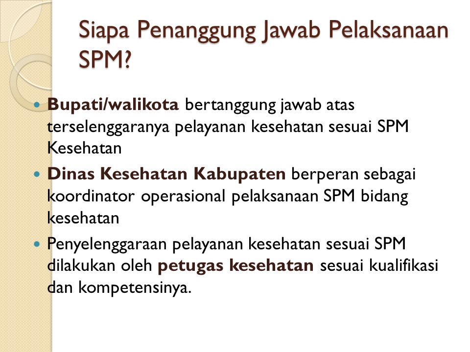 Siapa Penanggung Jawab Pelaksanaan SPM.
