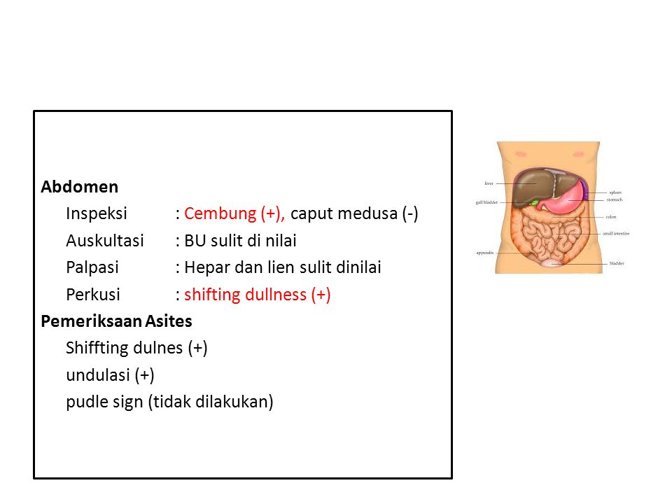 Hepatis перевод с латинского