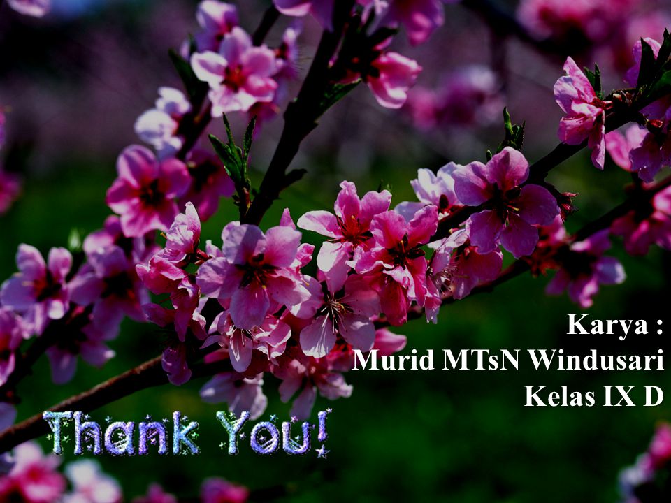 Thanks ! Karya : Murid MTsN Windusari Kelas IX D