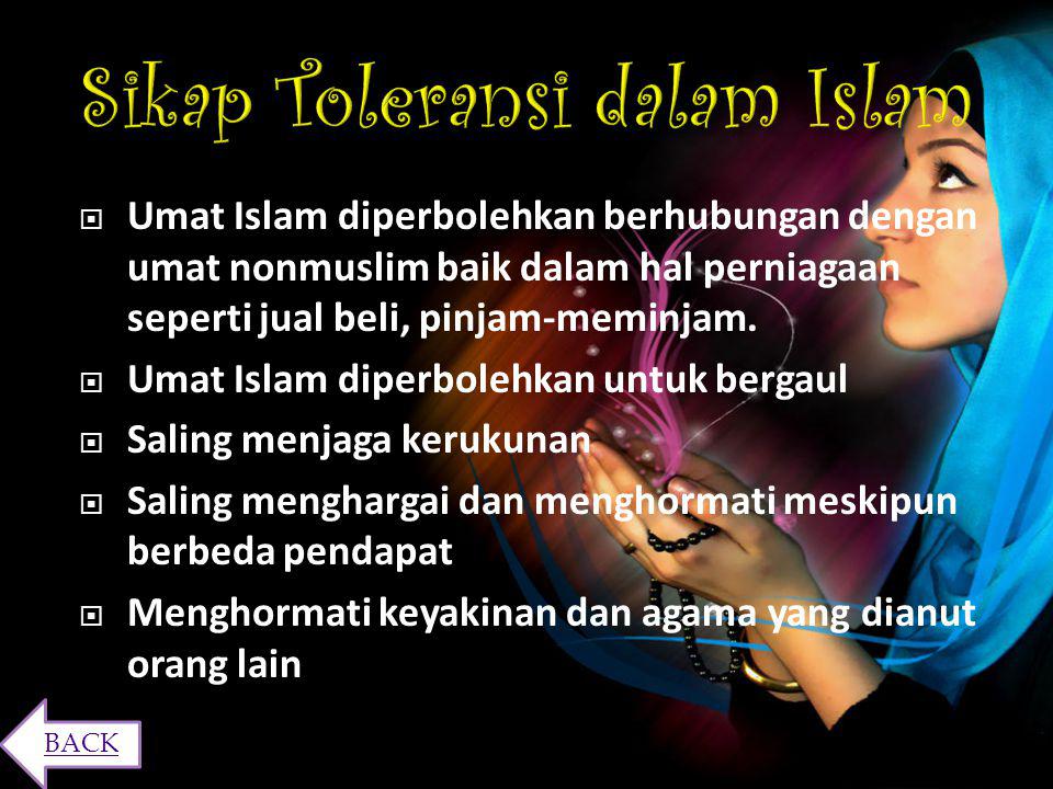 Toleransi yang diperbolehkan dalam islam adalah toleransi yang berhubungan dengan urusan