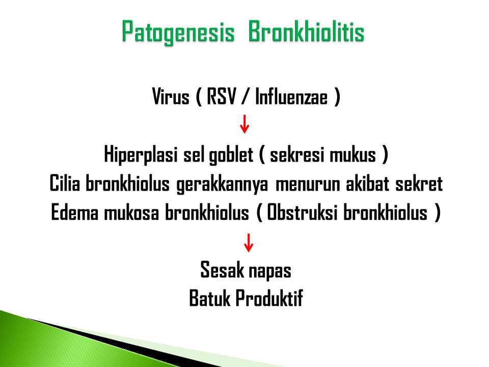 Virus ( RSV / Influenzae ) Hiperplasi sel goblet ( sekresi mukus ) Cilia bronkhiolus gerakkannya menurun akibat sekret Edema mukosa bronkhiolus ( Obstruksi bronkhiolus ) Sesak napas Batuk Produktif