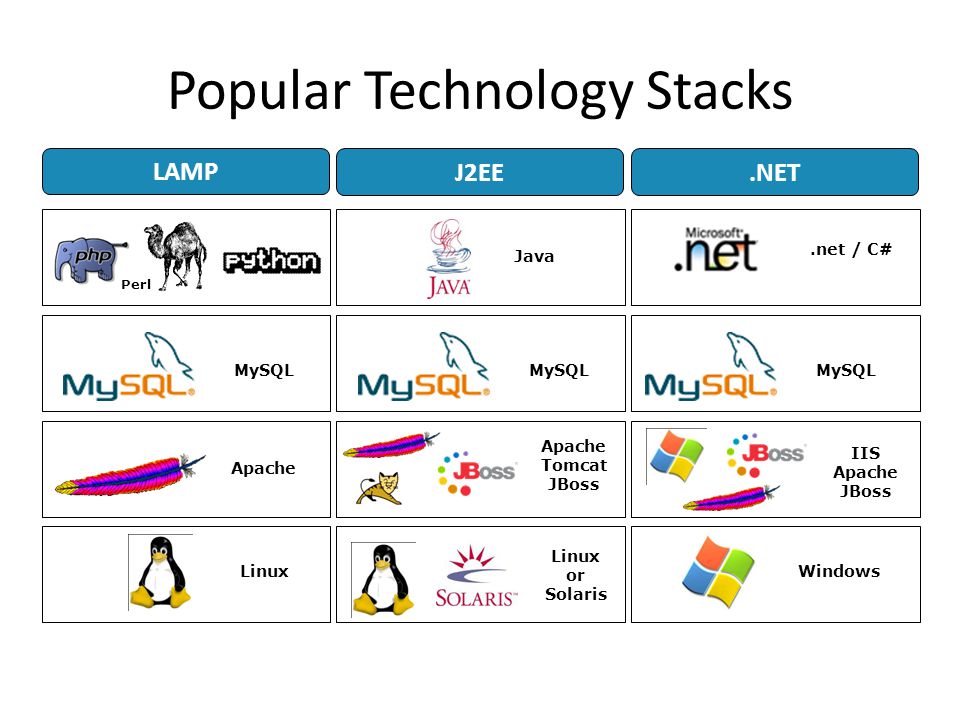 Popular Technology Stacks MySQL Linux Apache MySQL Linux or Solaris Windows Apache Tomcat JBoss IIS Apache JBoss Java.net / C# Perl LAMP J2EE.NET