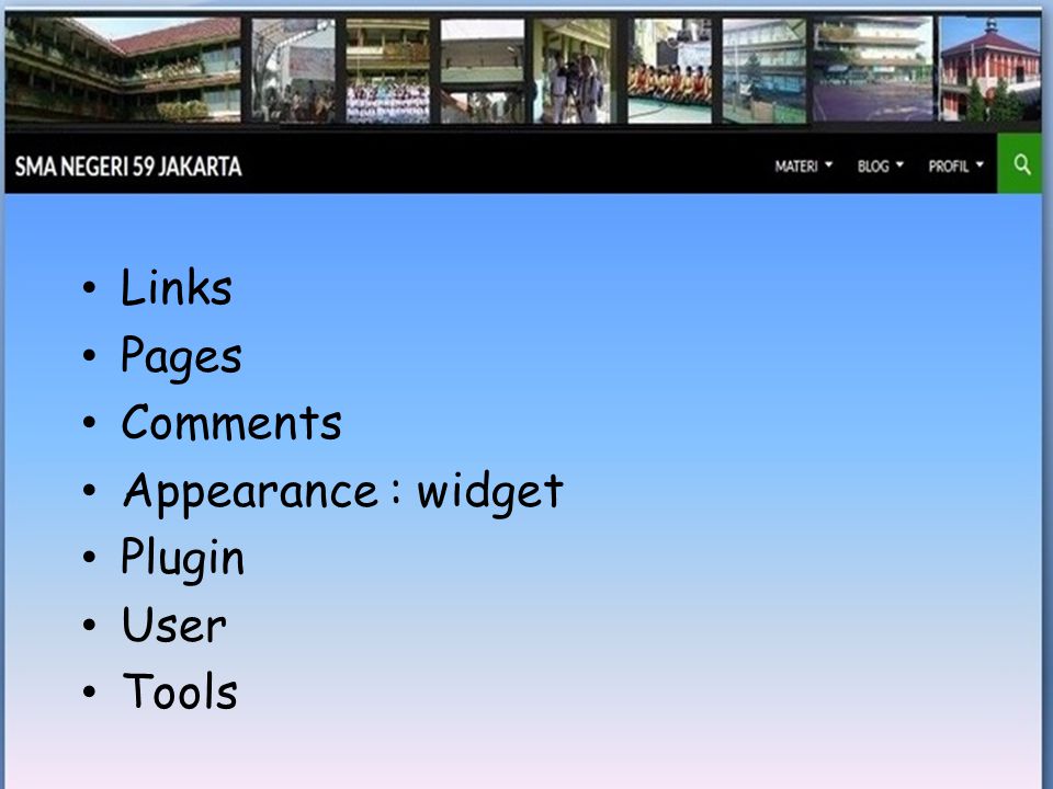 • Links • Pages • Comments • Appearance : widget • Plugin • User • Tools