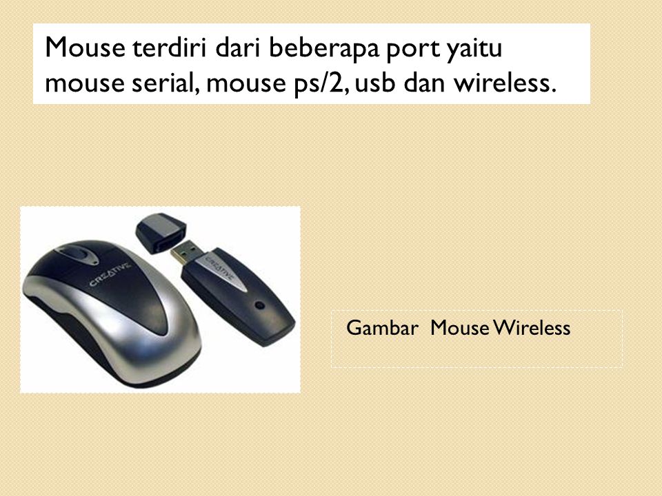 Mouse terdiri dari beberapa port yaitu mouse serial, mouse ps/2, usb dan wireless.