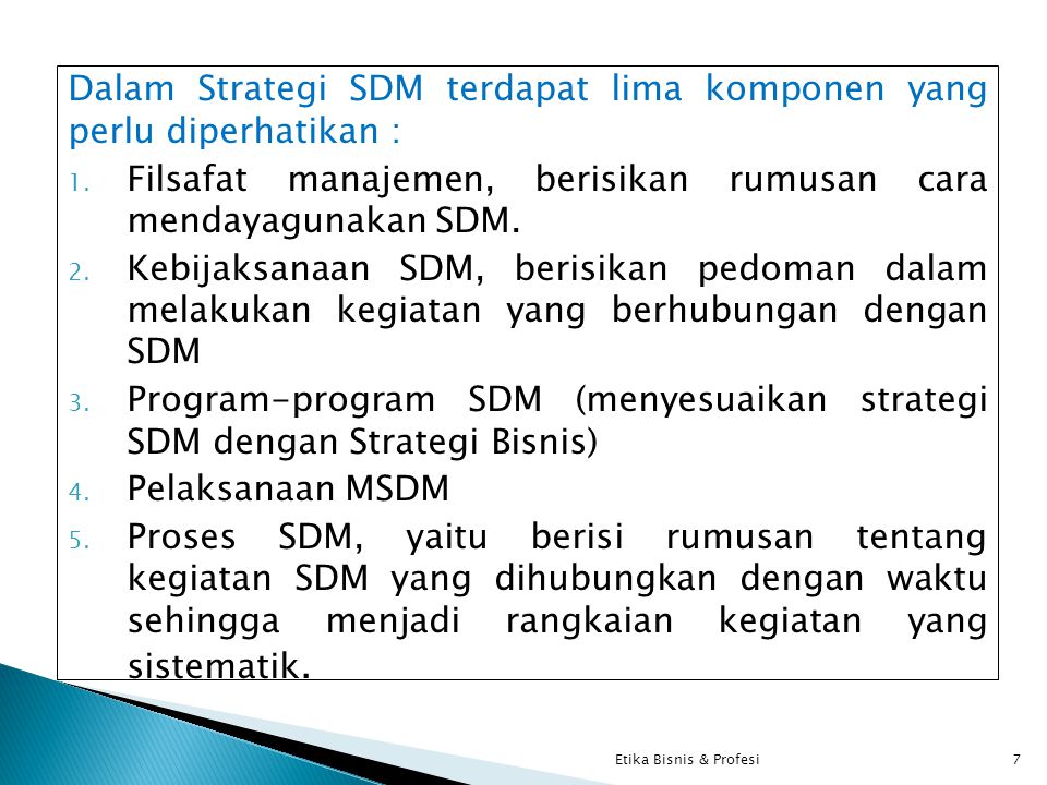 Dalam Strategi SDM terdapat lima komponen yang perlu diperhatikan : 1.