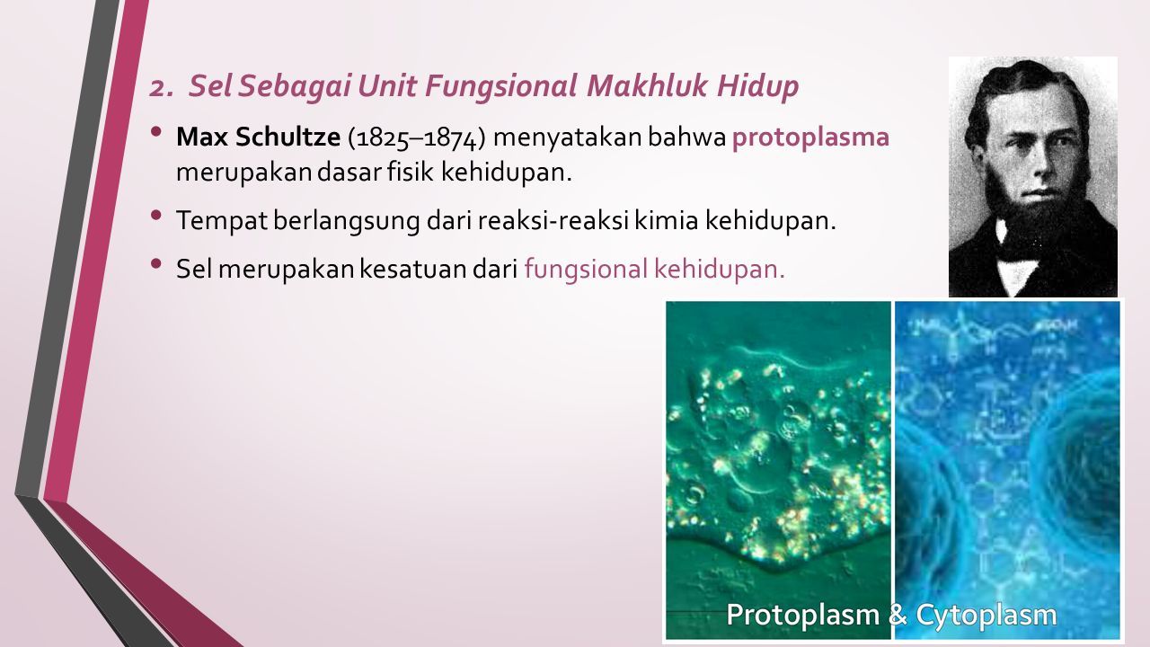 Ilmuwan yang menyatakan bahwa protoplasma merupakan substansi hidup pada sel