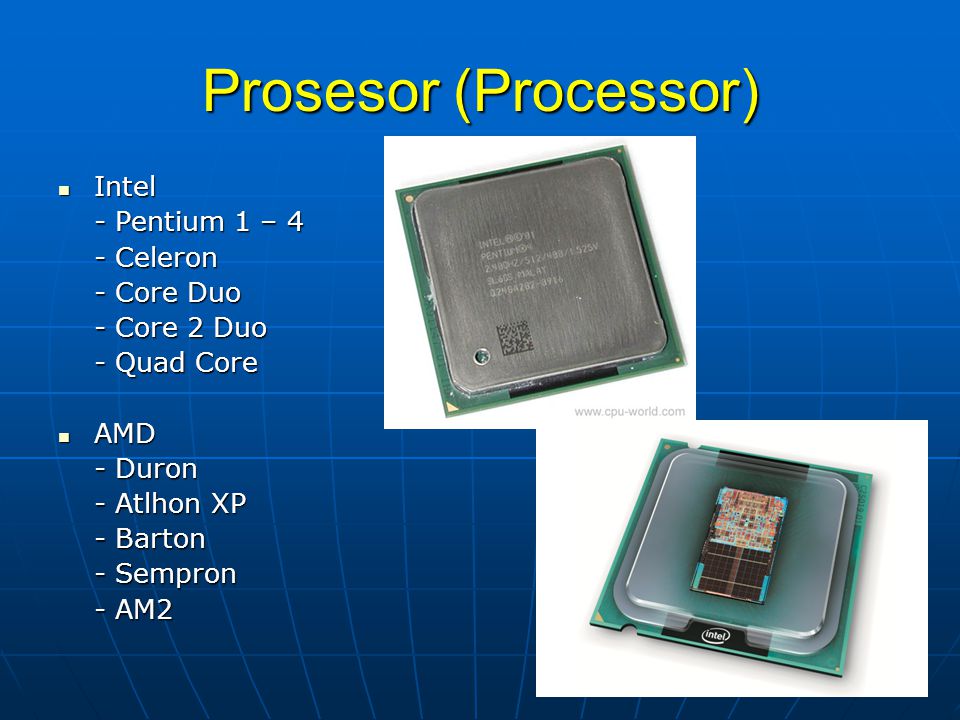 Prosesor (Processor)  Intel - Pentium 1 – 4 - Celeron - Core Duo - Core 2 Duo - Quad Core  AMD - Duron - Atlhon XP - Barton - Sempron - AM2