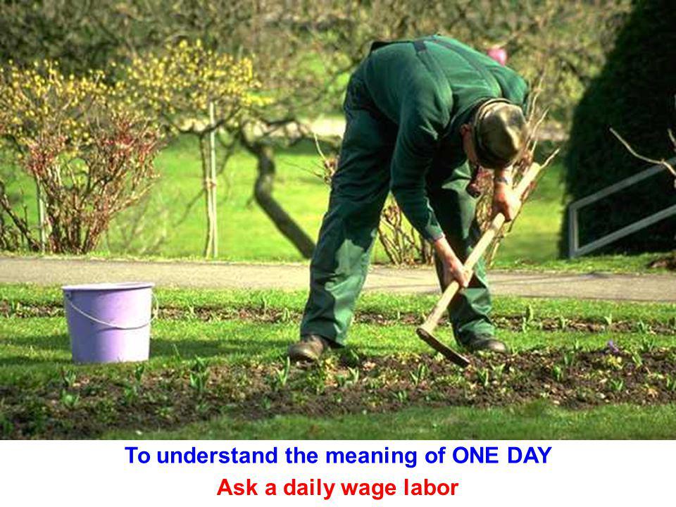 To understand the meaning of ONE DAY Ask a daily wage labor