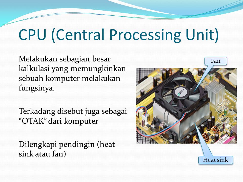 CPU (Central Processing Unit) Melakukan sebagian besar kalkulasi yang memungkinkan sebuah komputer melakukan fungsinya.