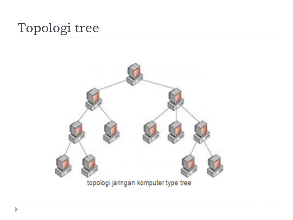 Topologi tree