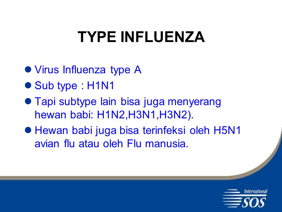 TYPE INFLUENZA Virus Influenza type A Sub type : H1N1 Tapi subtype lain bisa juga menyerang hewan babi: H1N2,H3N1,H3N2).
