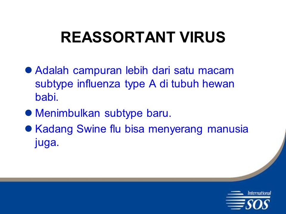 REASSORTANT VIRUS Adalah campuran lebih dari satu macam subtype influenza type A di tubuh hewan babi.