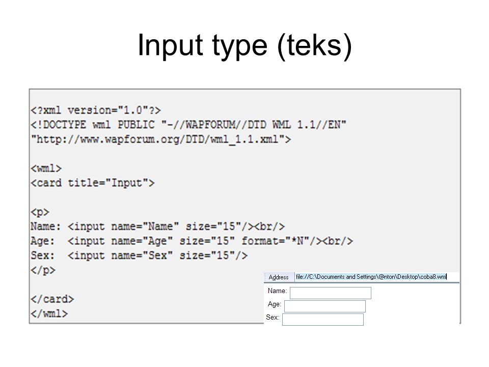 Input type (teks)