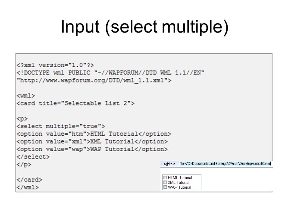 Input (select multiple)