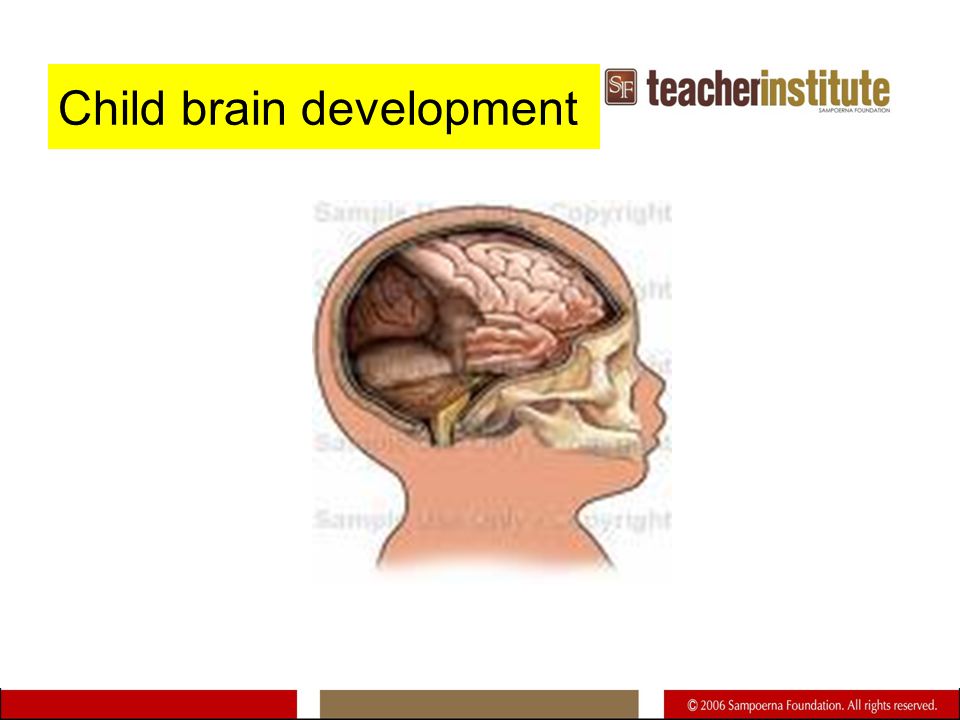 Child brain development