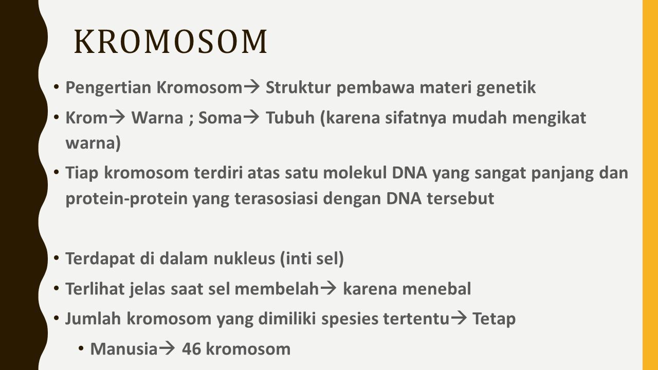 Kromosom Tujuan Umum Mengetahui Tentang Kromosom Tujuan Khusus Mengetahui Tentang 7597