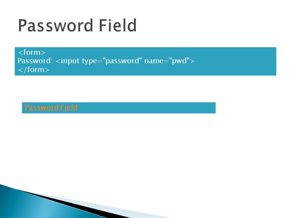 Password field