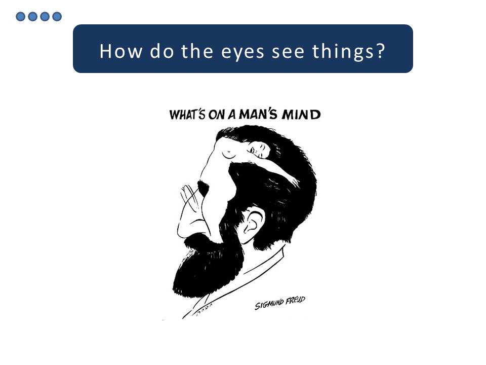 How do the eyes see things.