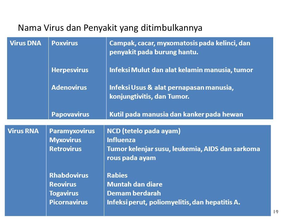 Virus By Materi Virus 1 Pendahuluan 2 Sejarah Penemuan Ilmuwan Ttg Virus 3 Ciri Ciri Virus Karakteristik Virus 4 Struktur Tubuh Ppt Download