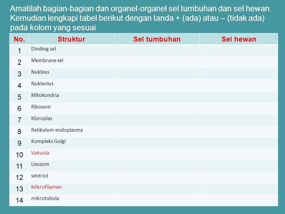 Sel Xi Mia Semester 1ta 20142015 Kompetensi Inti 1