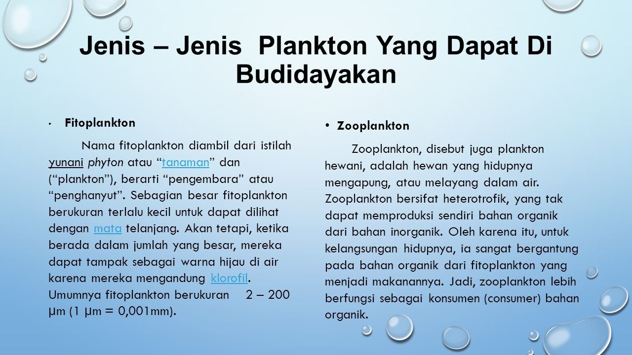 Plankton yang bersifat hewani disebut