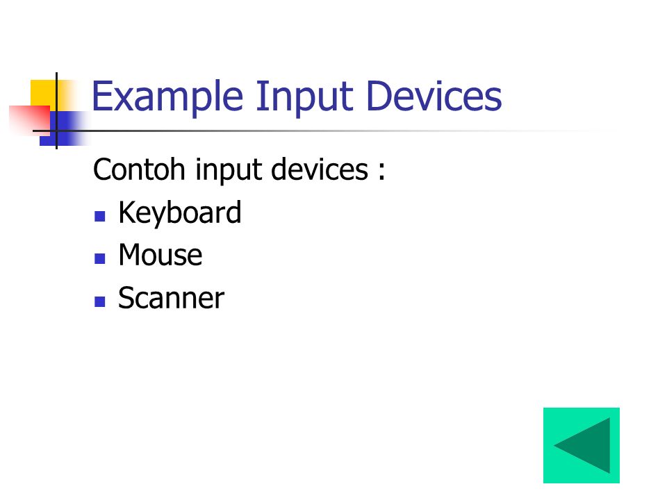 Input example. Input examples