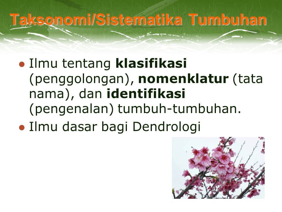 Taksonomi/Sistematika Tumbuhan Ilmu tentang klasifikasi (penggolongan), nomenklatur (tata nama), dan identifikasi (pengenalan) tumbuh-tumbuhan.