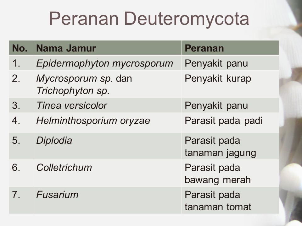 peranan helminthosporium oryzae)