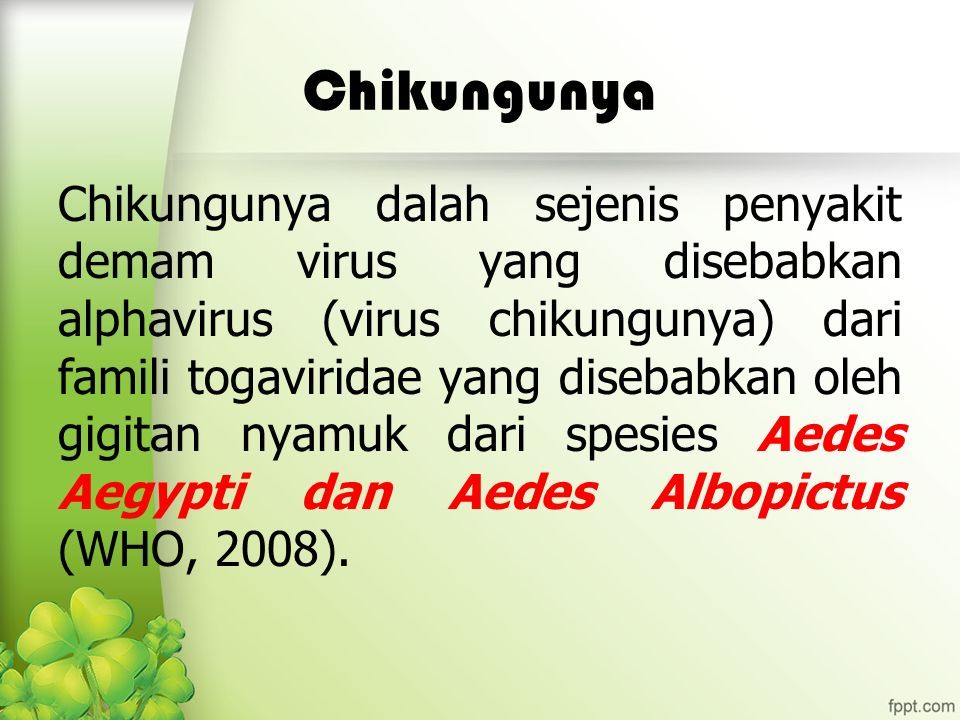 Chikungunya adalah penyakit yang disebabkan oleh gigitan